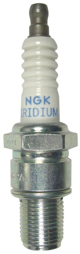 NGK 5442 NGK Racing Spark Plug