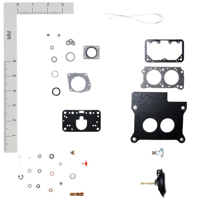 Walker Products 15818 Walker Products 15818 Carb Kit - Holley 2 BBL; 2300EG