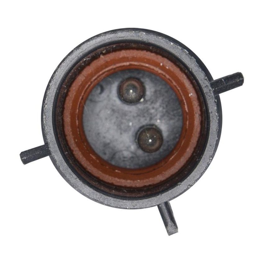 Walker Products 242-1007 Walker Products 242-1007 Ignition Knock (Detonation) Sensor