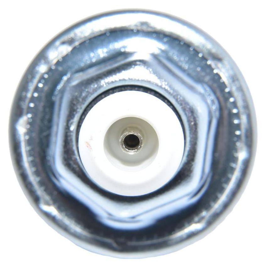 Walker Products 242-1017 Walker Products 242-1017 Ignition Knock (Detonation) Sensor