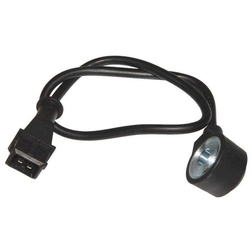 Walker Products 242-1061 Walker Products 242-1061 Ignition Knock (Detonation) Sensor