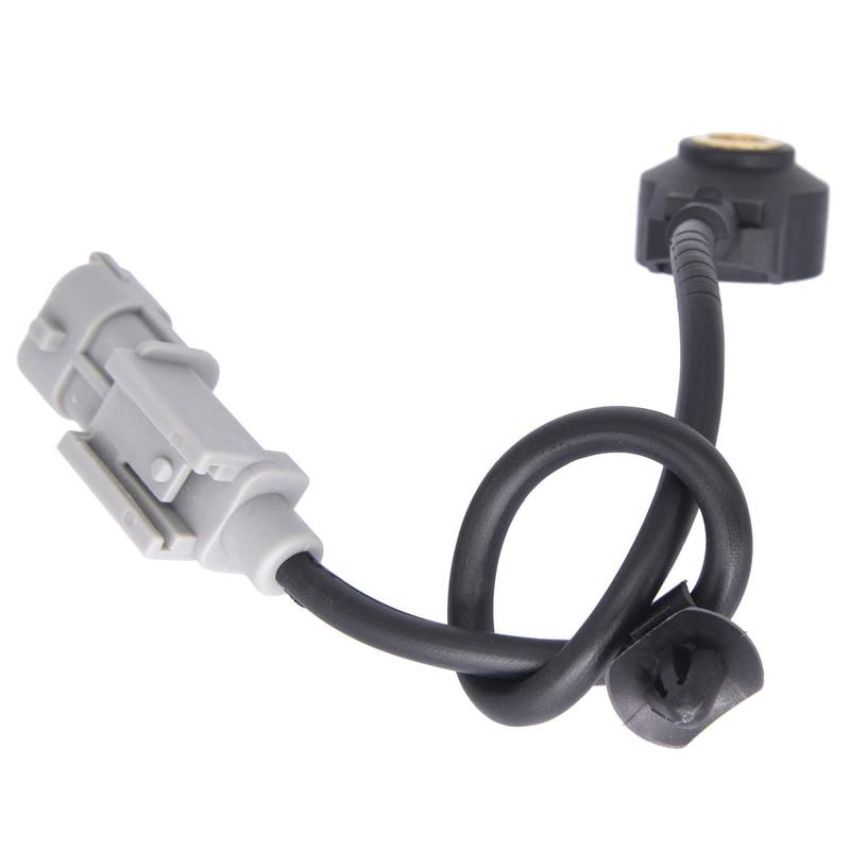 Walker Products 242-1093 Walker Products 242-1093 Ignition Knock (Detonation) Sensor