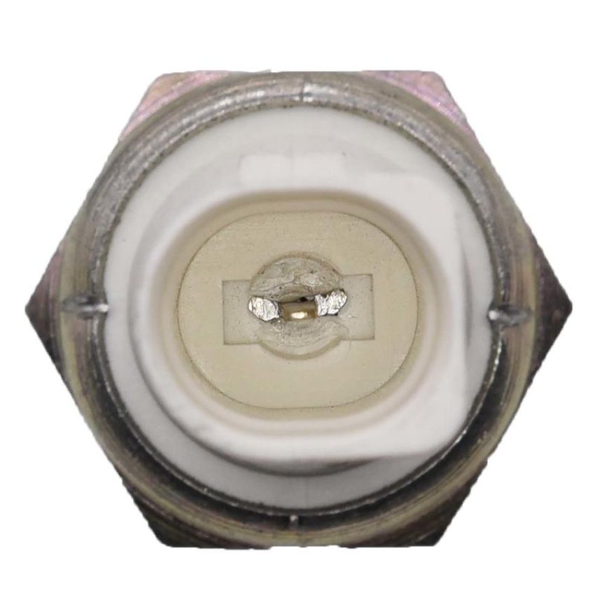 Walker Products 256-1301 Walker Products 256-1301 Engine Oil Pressure Switch
