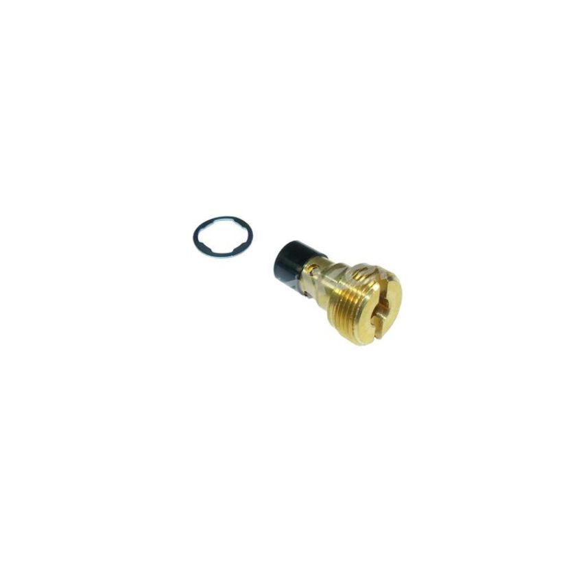 Walker Products 31-652 Walker Products 31-652 Carburetor Needle and Seat
