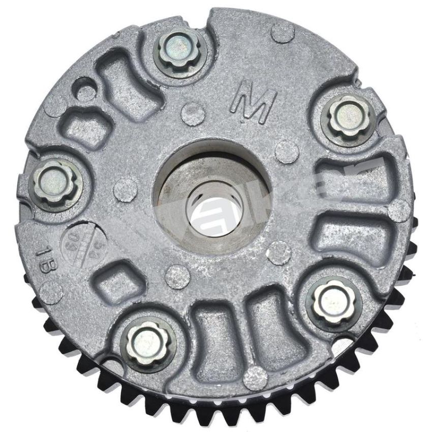 Walker Products 595-1005 Walker Products 595-1005 Engine Variable Valve Timing (VVT) Sprocket