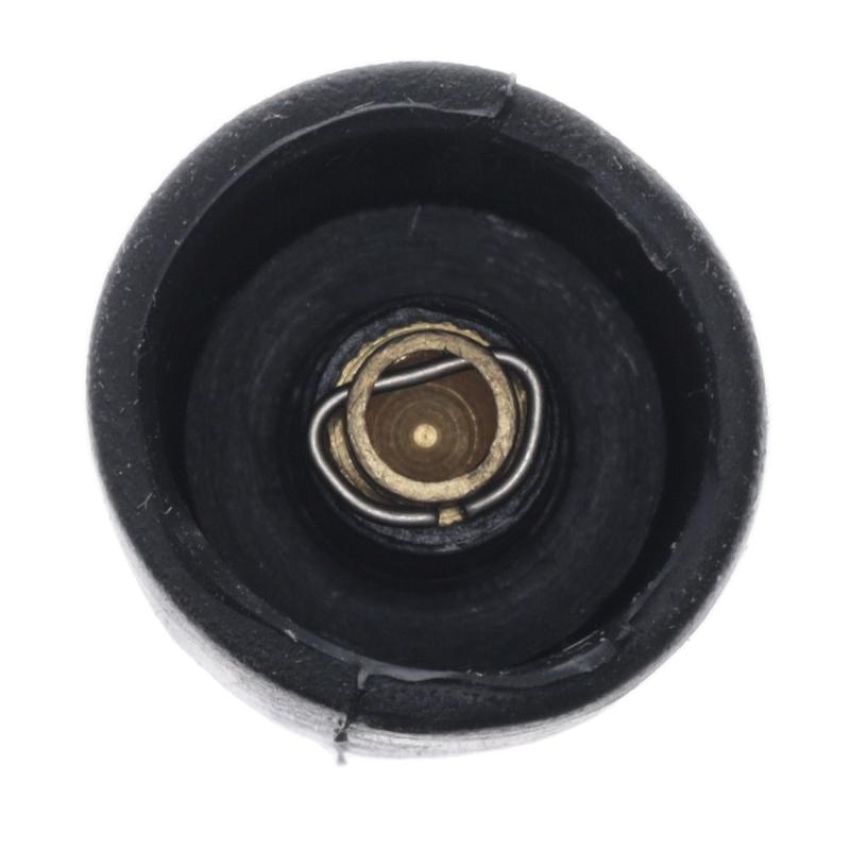 Walker Products 900-P2021 ThunderCore PRO 900-P2021 Coil Boot