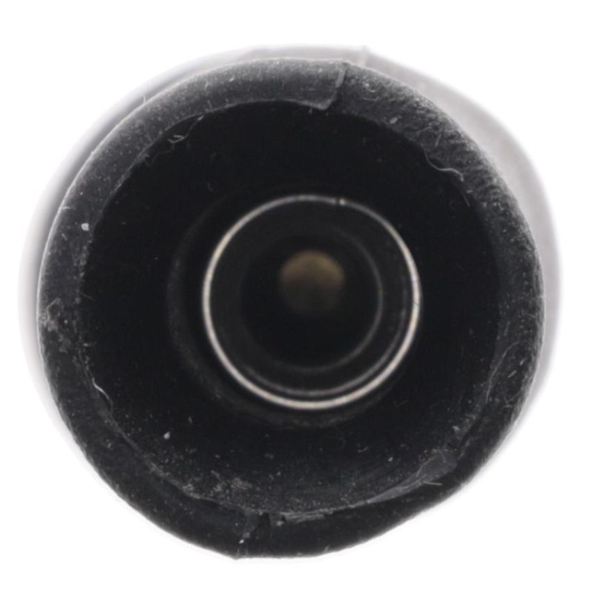 Walker Products 900-P2021 ThunderCore PRO 900-P2021 Coil Boot
