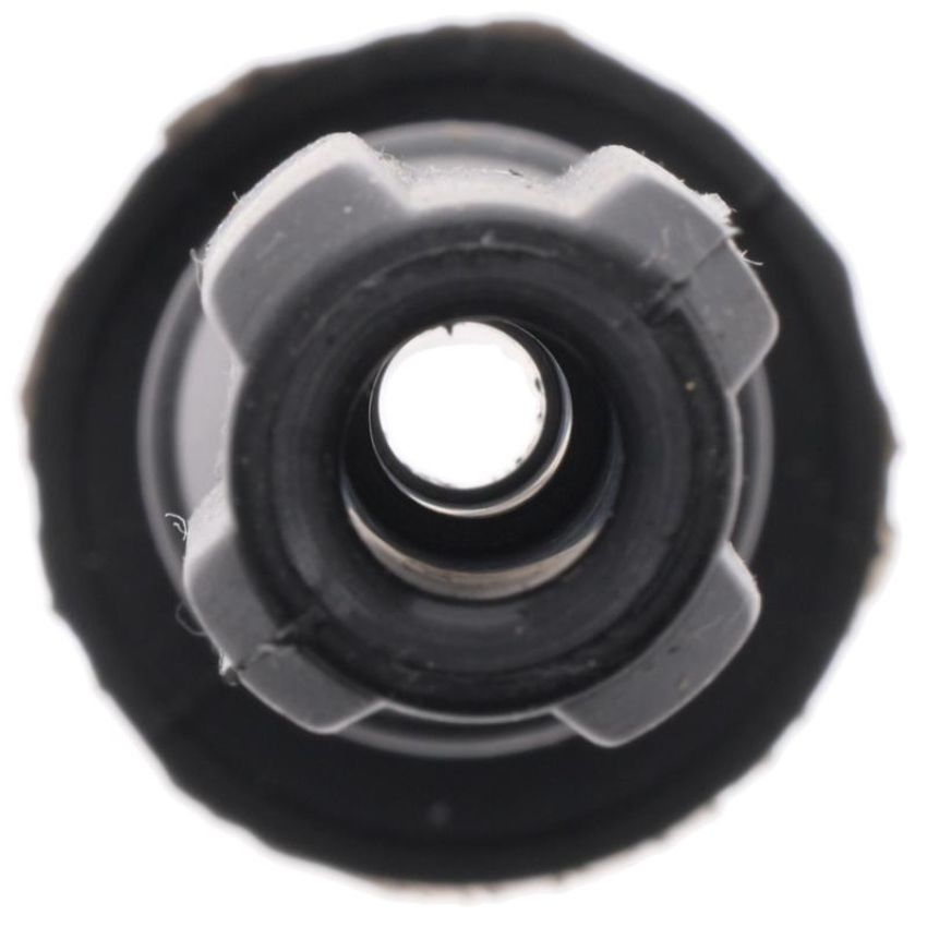 Walker Products 900-P2031 ThunderCore PRO 900-P2031 Coil Boot