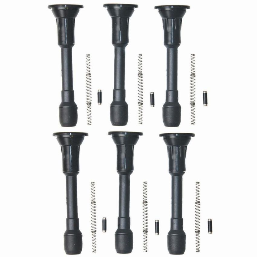 Walker Products 900-P2098-6 ThunderCore PRO 900-P2098-6 Coil Boot Kit