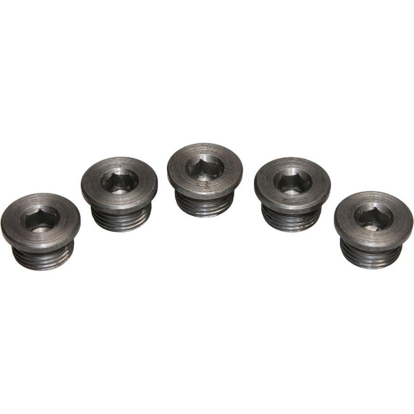 Walker Products 90-200P Walker Products 90-200P O2 Bung Plug Mild Steel 18mm Threads - Pkg (5 pc.)