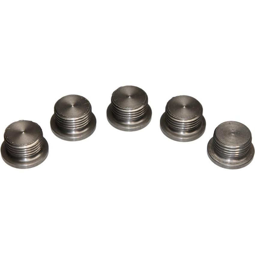 Walker Products 90-200SSP Walker Products 90-200SSP O2 Bung Plug Stainless Steel 18mm Threads-Pkg (5 pc.)