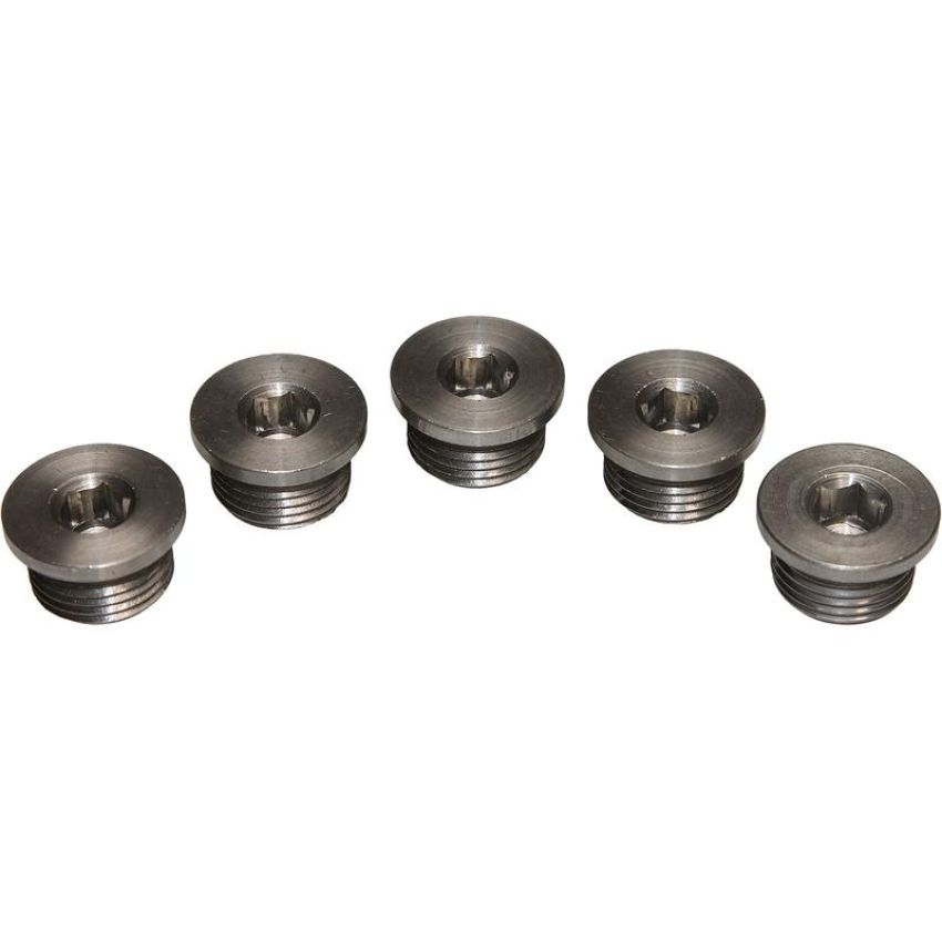 Walker Products 90-200SSP Walker Products 90-200SSP O2 Bung Plug Stainless Steel 18mm Threads-Pkg (5 pc.)