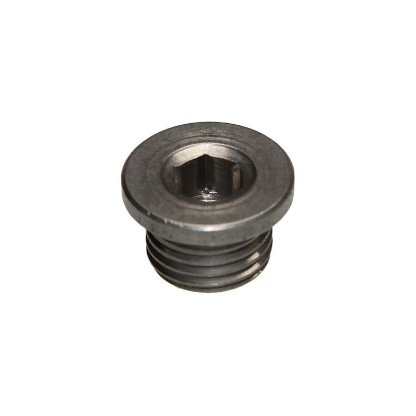 Walker Products 90-203SS Walker Products 90-203SS O2 Bung Plug Stainless Steel 12mm Threads