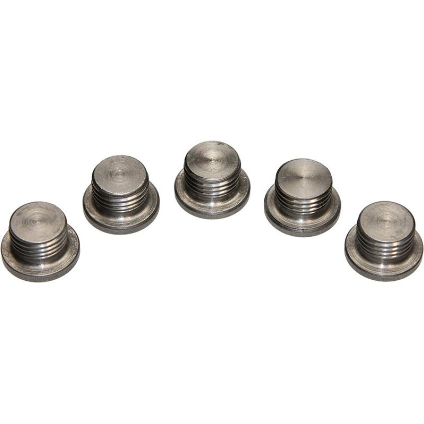 Walker Products 90-203SSP Walker Products 90-203SSP O2 Bung Plug Stainless Steel 12mm Threads-Pkg (5 pc.)