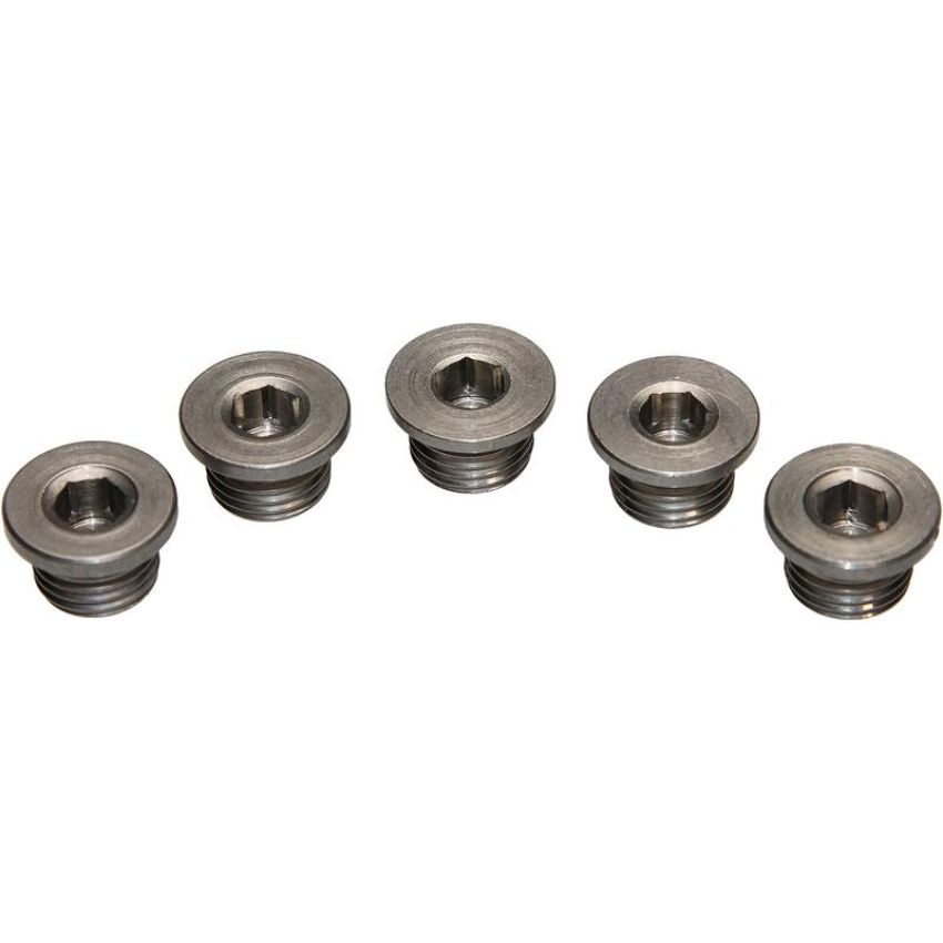 Walker Products 90-203SSP Walker Products 90-203SSP O2 Bung Plug Stainless Steel 12mm Threads-Pkg (5 pc.)