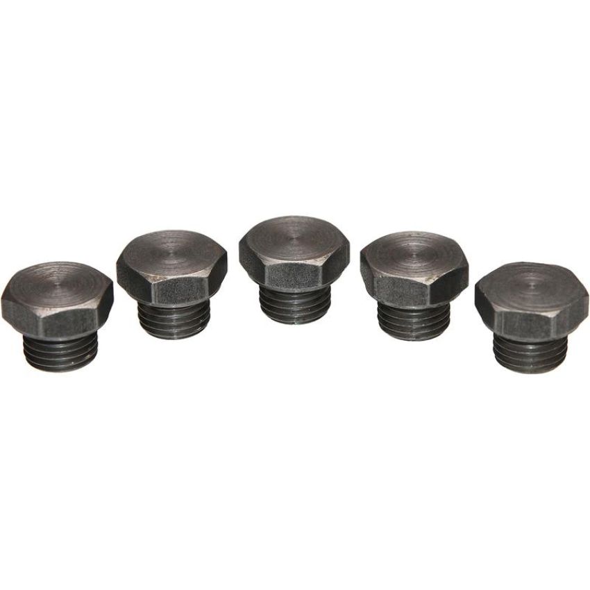 Walker Products 90-204P Walker Products 90-204P O2 Bung Plug Mild Steel 12mm Threads - Pkg (5 pc.)
