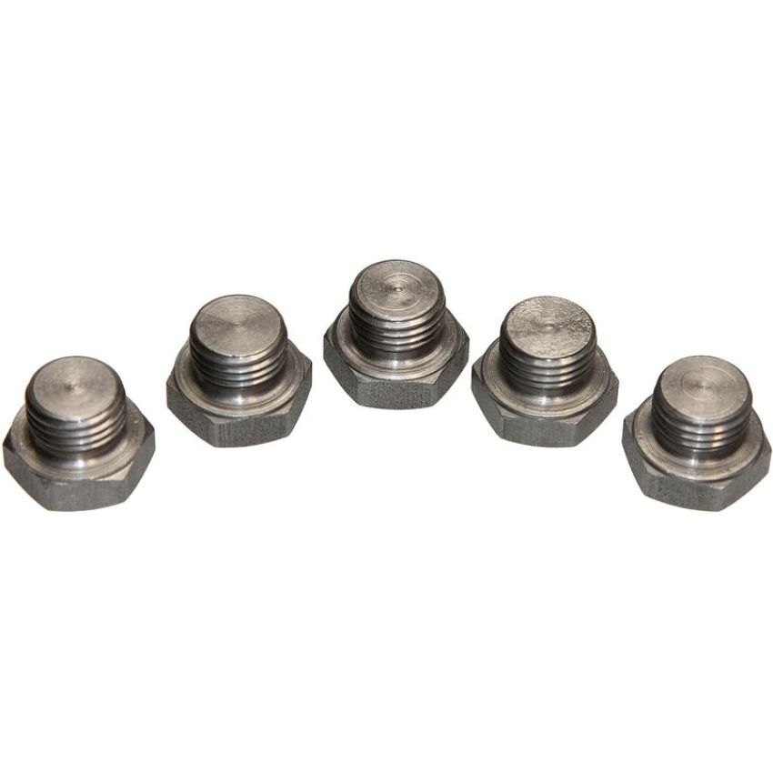 Walker Products 90-204SSP Walker Products 90-204SSP O2 Bung Plug Stainless Steel 12mm Threads-Pkg (5 pc.)