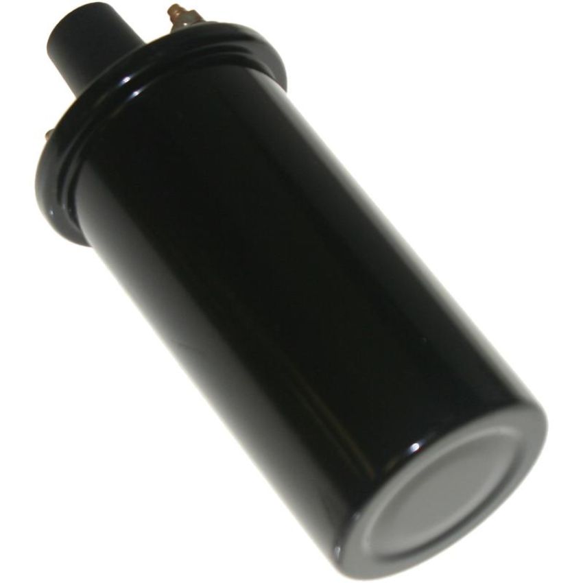 Walker Products 920-1001 ThunderSpark 920-1001 Ignition Coil