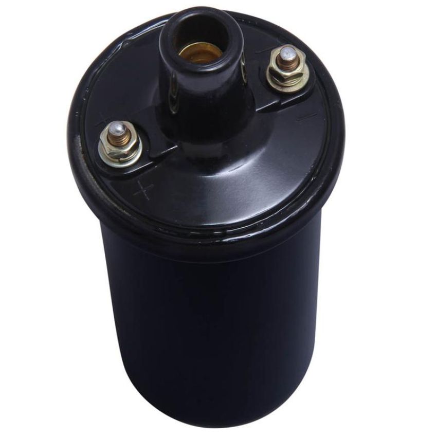 Walker Products 920-1009 ThunderSpark 920-1009 Ignition Coil