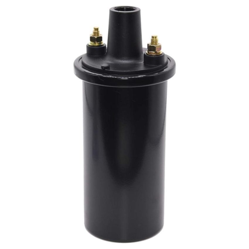 Walker Products 920-1041 ThunderSpark 920-1041 Ignition Coil