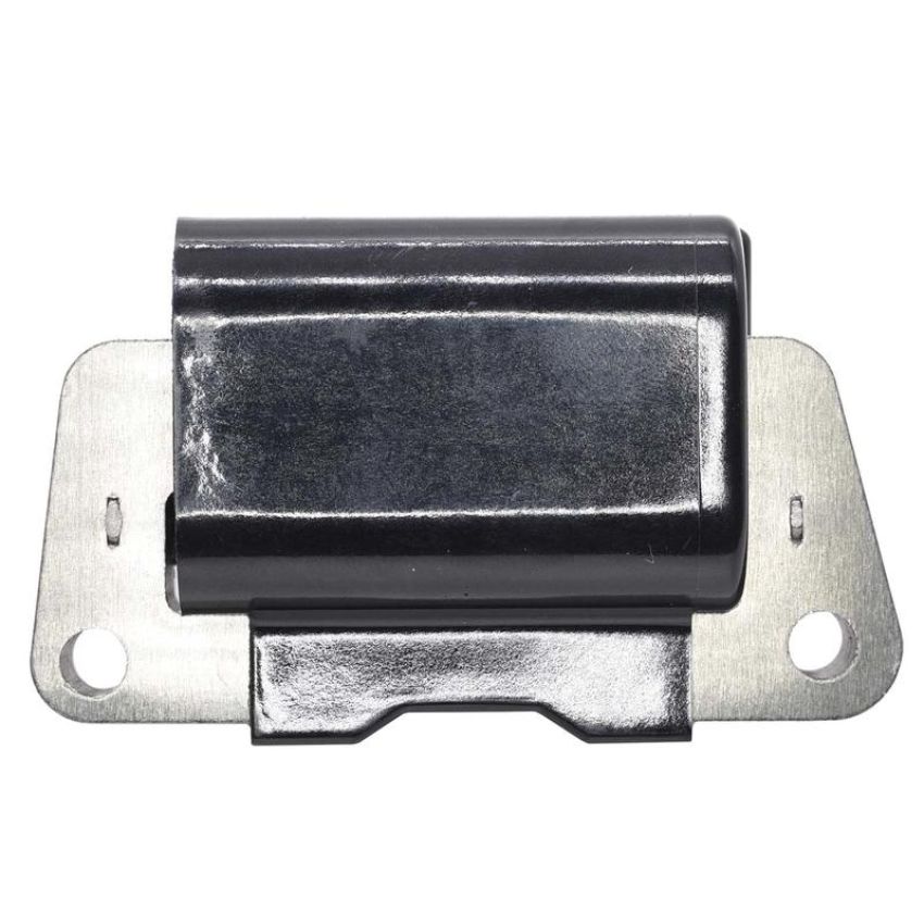 Walker Products 921-2139 ThunderSpark 921-2139 Ignition Coil