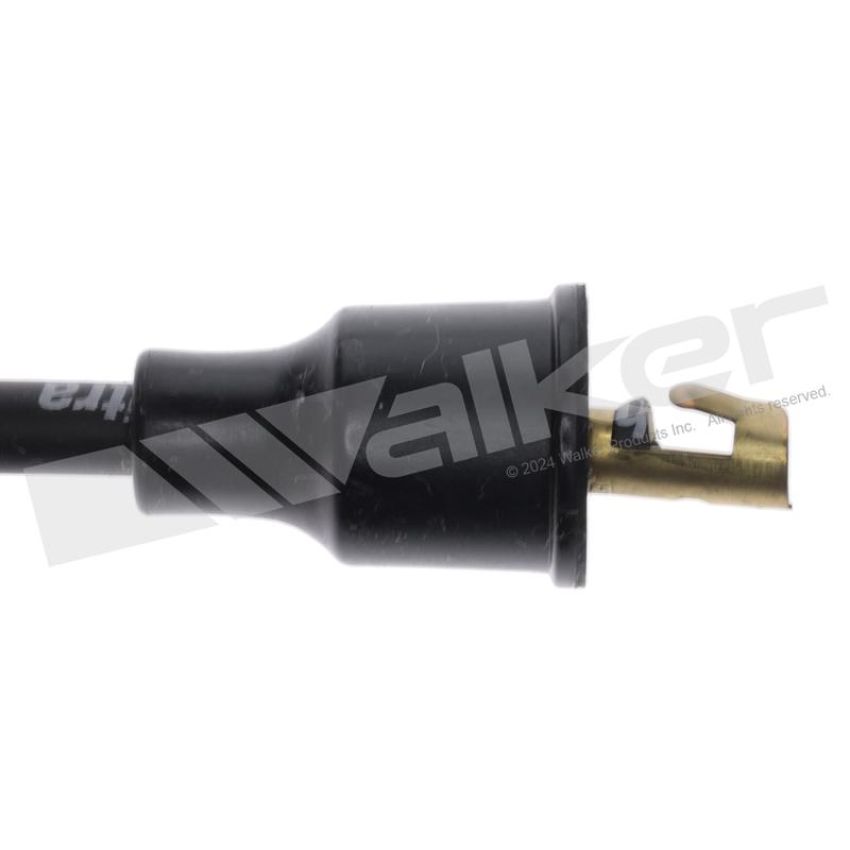Walker Products 924-1596 ThunderCore PRO 924-1596 Spark Plug Wire Set