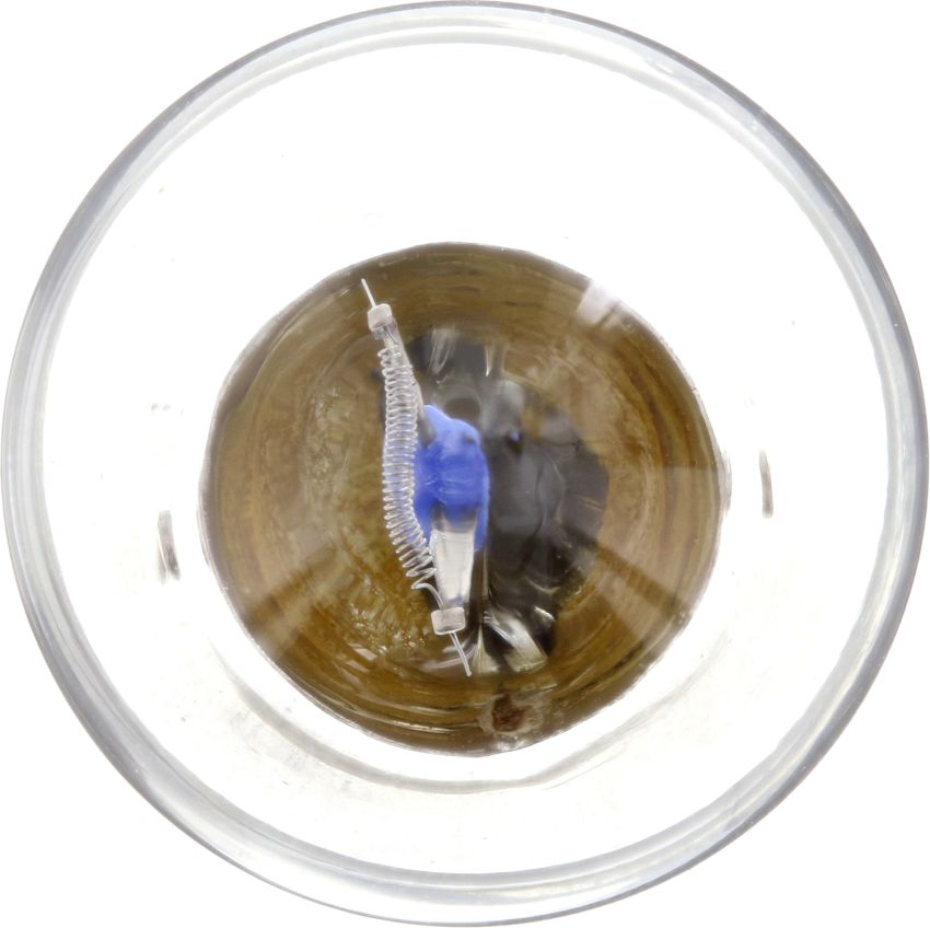 Philips P21WLLB2 Philips LongerLife Miniature P21WLL
