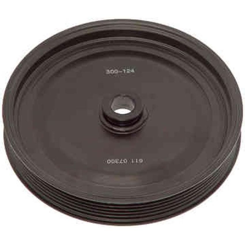 DORMAN 300-124 Power Steering Pump Pulley