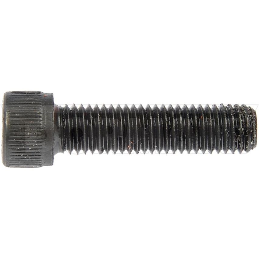 DORMAN 383-010 Socket Cap Screw-Grade 8- 1/4-28 x 1 In.