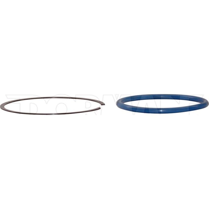 DORMAN 579-091 Lock Ring For The Fuel Pump