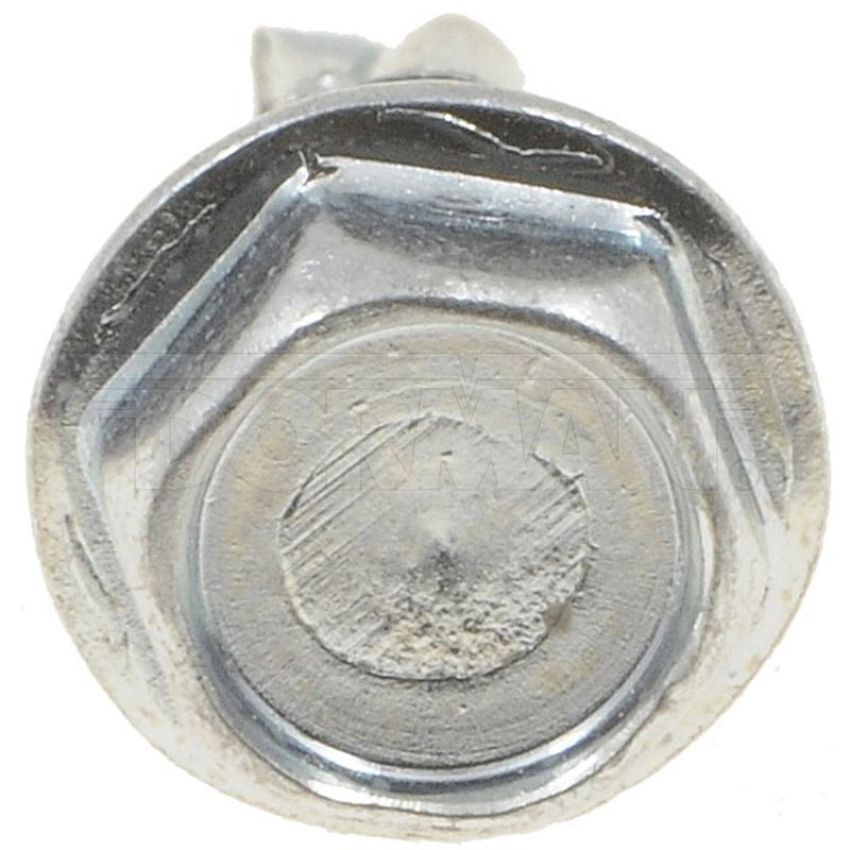 DORMAN 700-202 Self Tapping Screw-Hex Washer Head-No. 8 x 1/2 In.