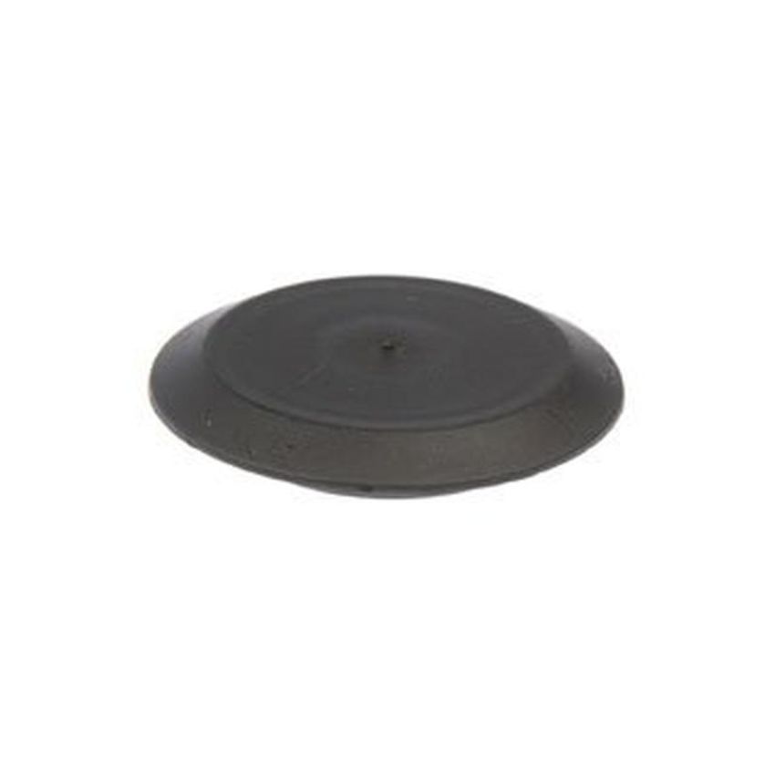 DORMAN 700-487 Plug Button - 1 In.