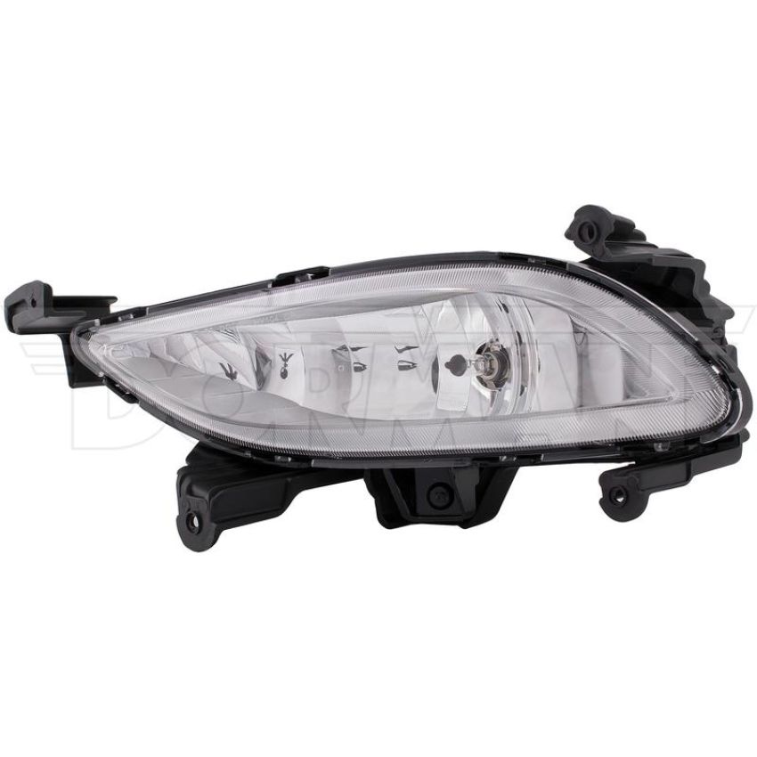 DORMAN 923-818 Fog Lamp Assembly