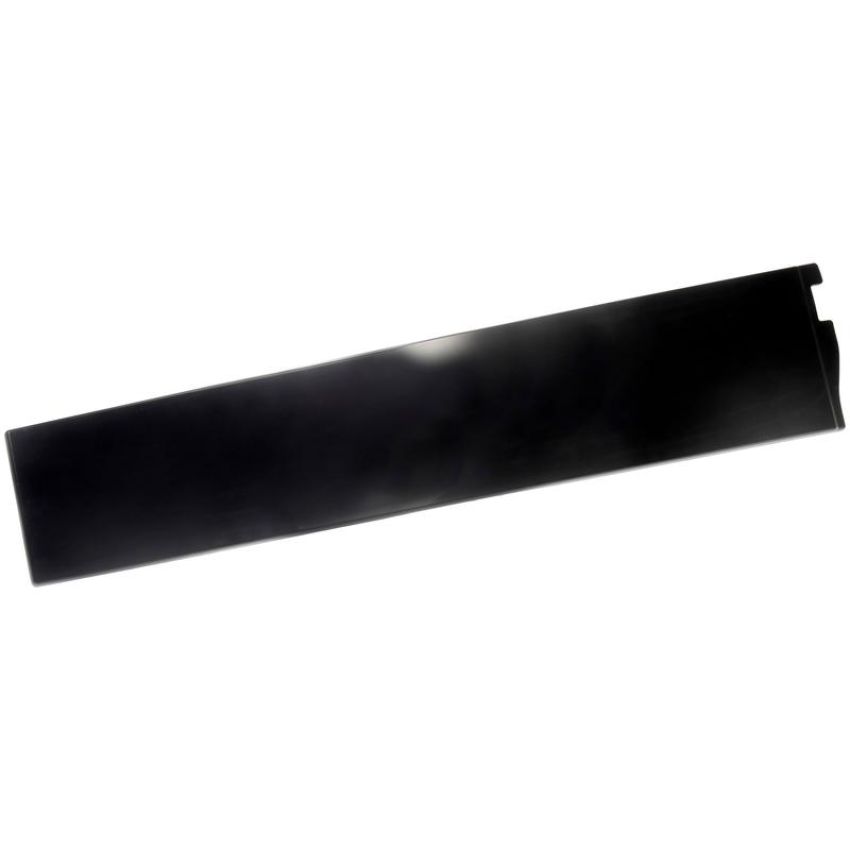 DORMAN 926-244 Rear Door Molding