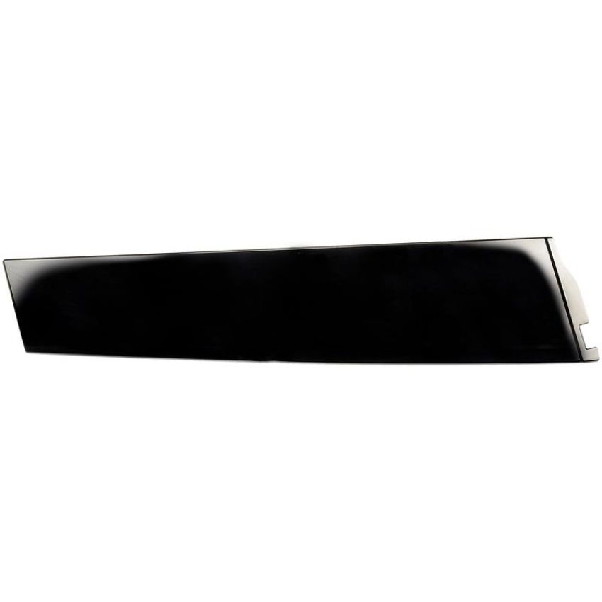 DORMAN 926-246 Rear Door Molding