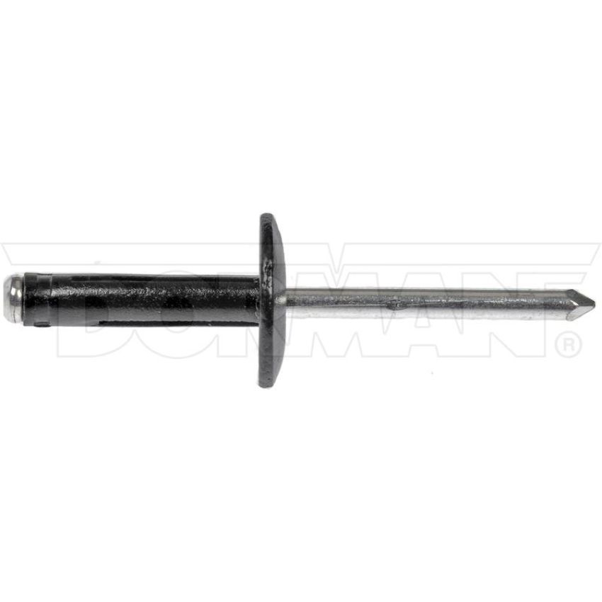 DORMAN 963-205D GM Blind Rivet Retainer - Diameter 3/16 In.