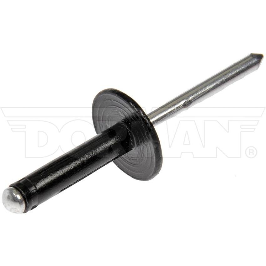 DORMAN 963-205D GM Blind Rivet Retainer - Diameter 3/16 In.