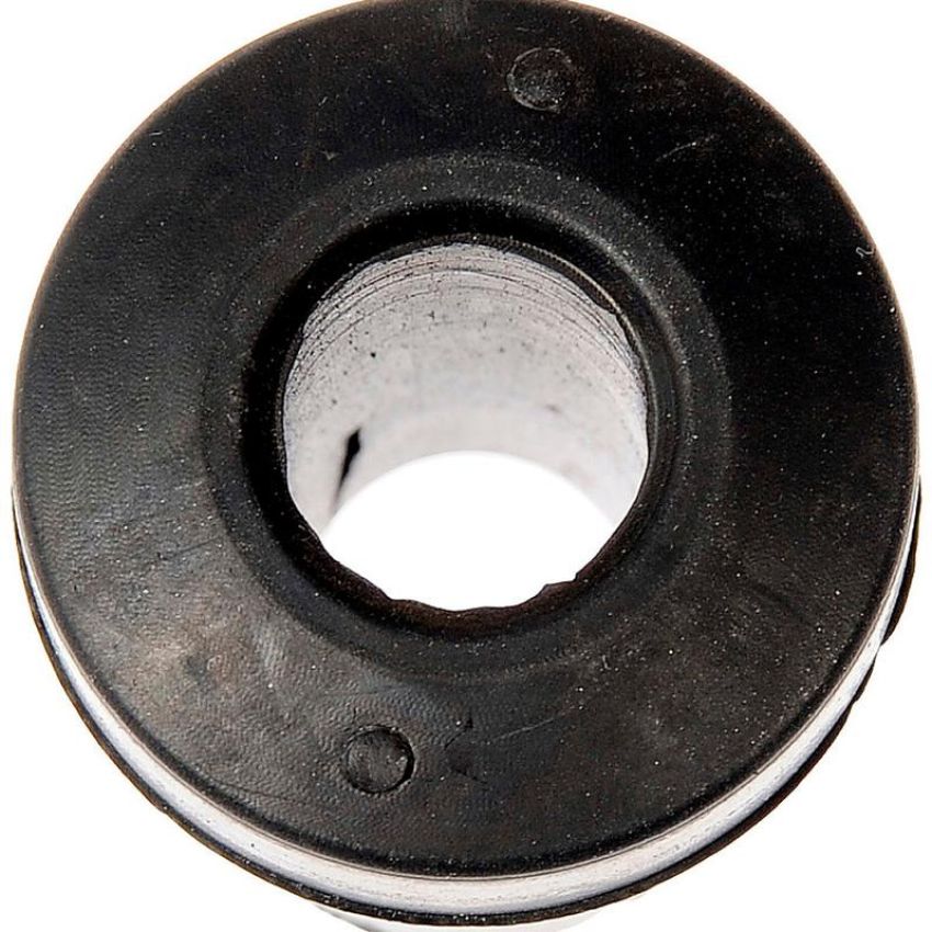 DORMAN SB810289PR Suspension Leaf Spring Bushing