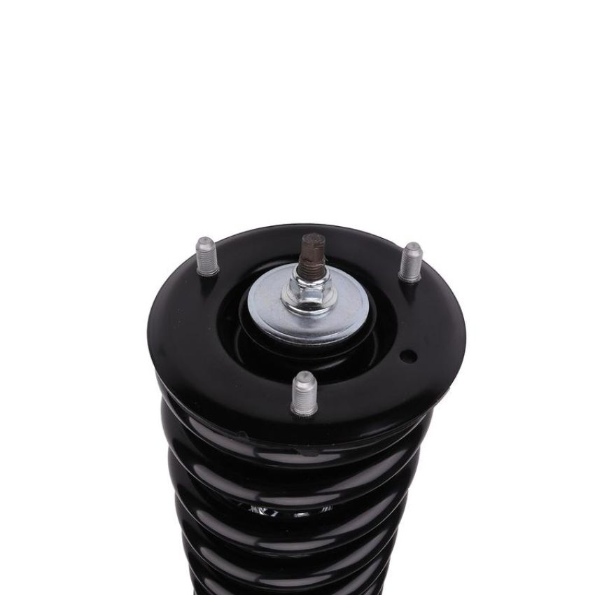 PRT PERFORMANCE RIDE 710252 PRT Complete Strut Assembly