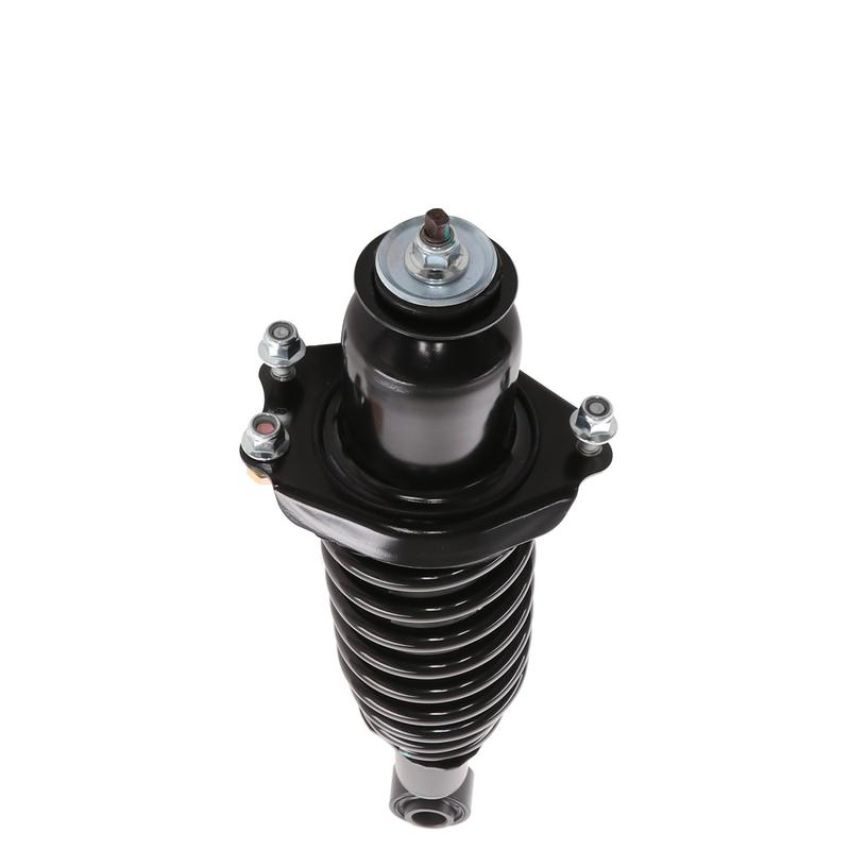 PRT PERFORMANCE RIDE 710423 PRT Complete Strut Assembly