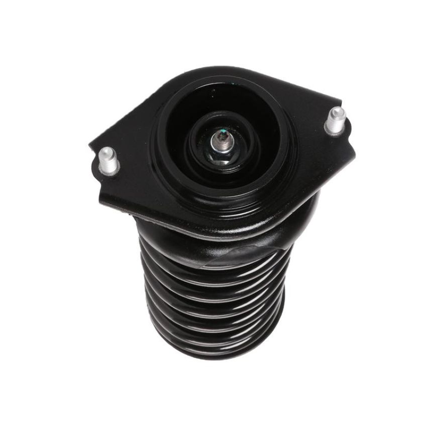 PRT PERFORMANCE RIDE 710863 PRT Complete Strut Assembly