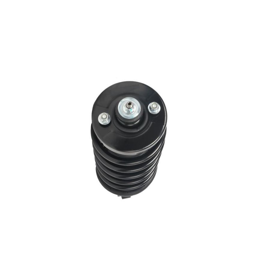 PRT PERFORMANCE RIDE 711010 PRT Complete Strut Assembly