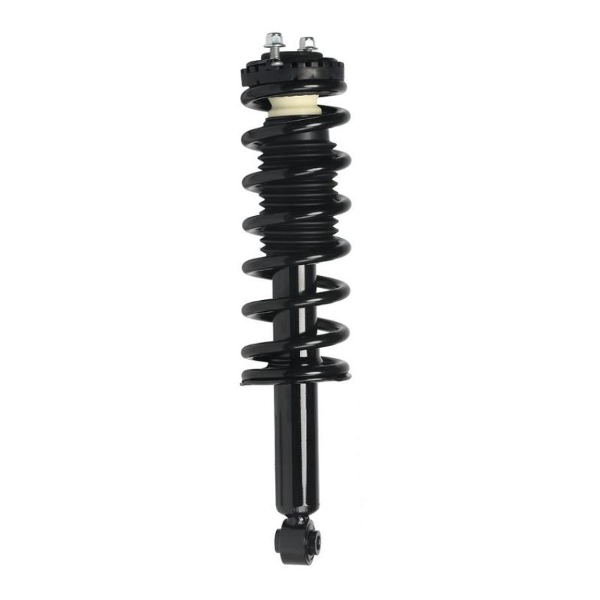 PRT PERFORMANCE RIDE 711391 PRT Complete Strut Assembly