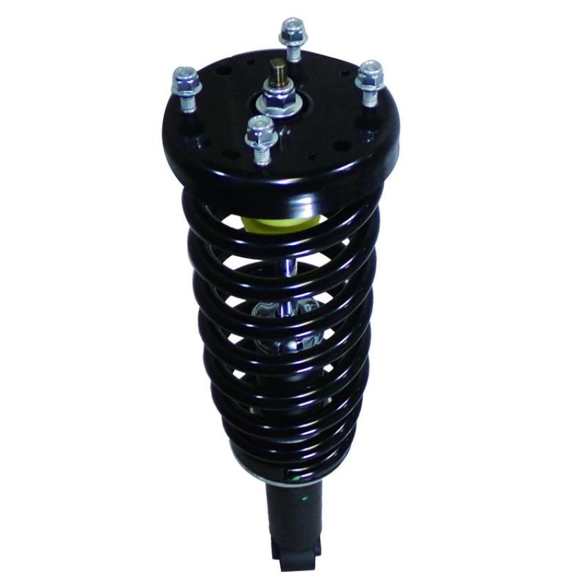 PRT PERFORMANCE RIDE 711395 PRT Complete Strut Assembly
