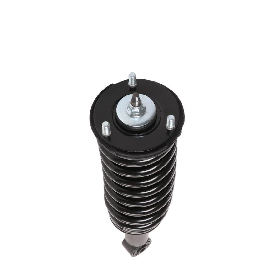 PRT PERFORMANCE RIDE 713002 PRT Complete Strut Assembly
