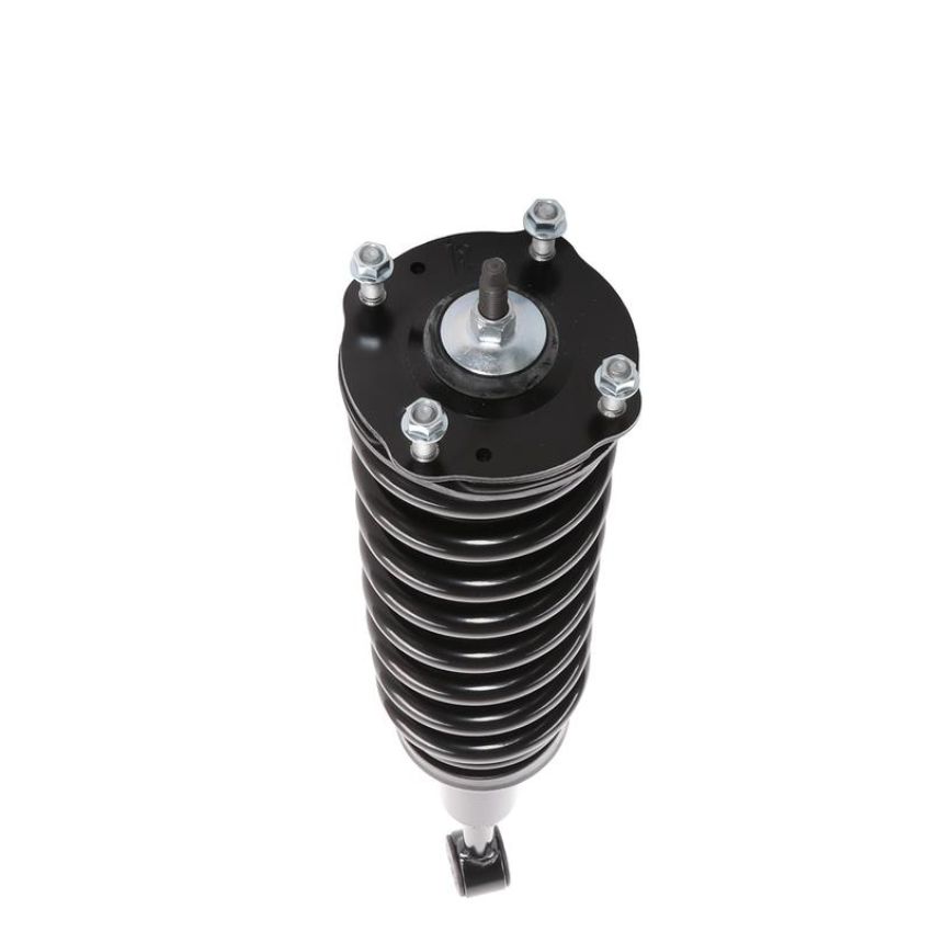 PRT PERFORMANCE RIDE 714010 PRT Complete Strut Assembly