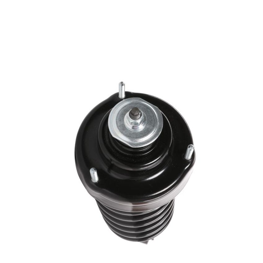 PRT PERFORMANCE RIDE 715022 PRT Complete Strut Assembly
