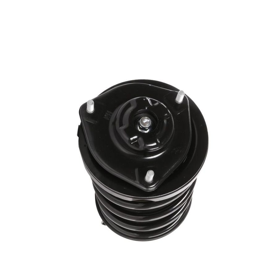PRT PERFORMANCE RIDE 810401 PRT Complete Strut Assembly