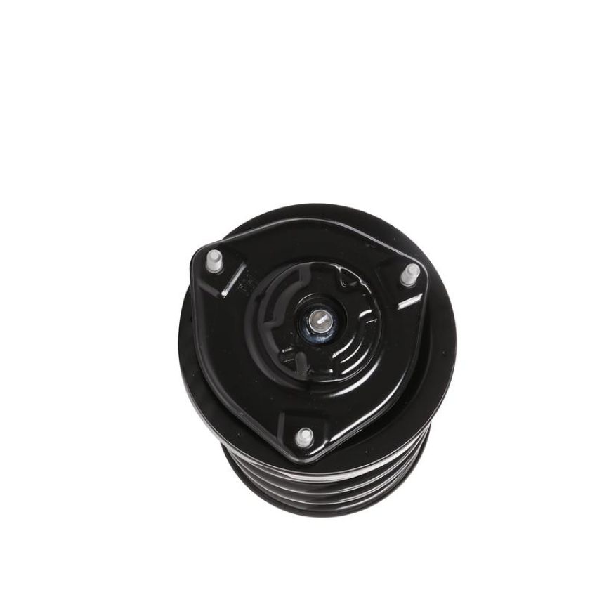 PRT PERFORMANCE RIDE 810402 PRT Complete Strut Assembly
