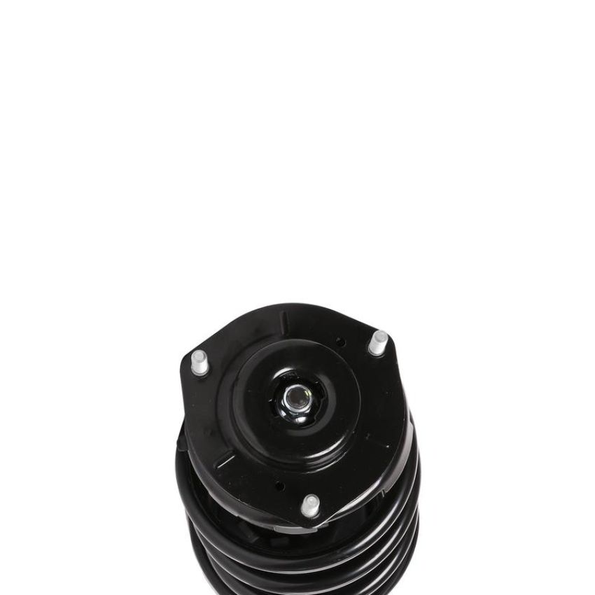 PRT PERFORMANCE RIDE 810416 PRT Complete Strut Assembly